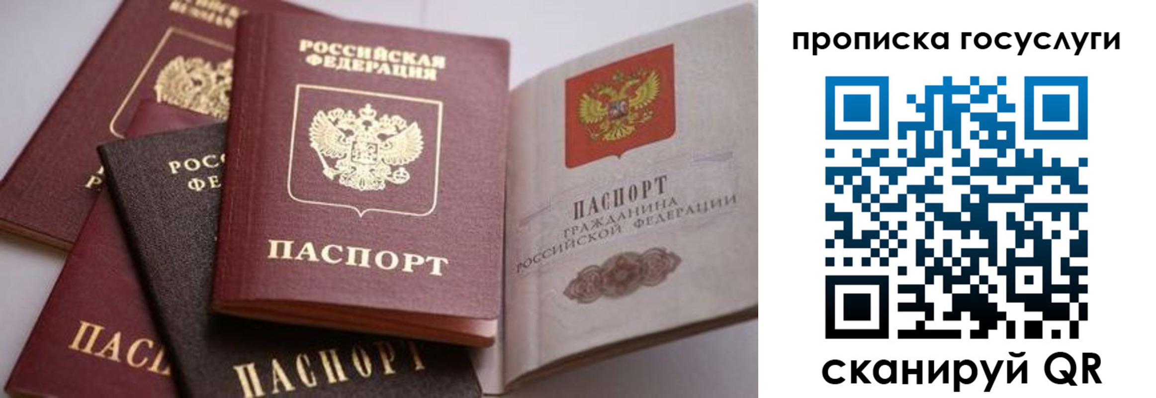 прописка иностранных граждан в Отрадном