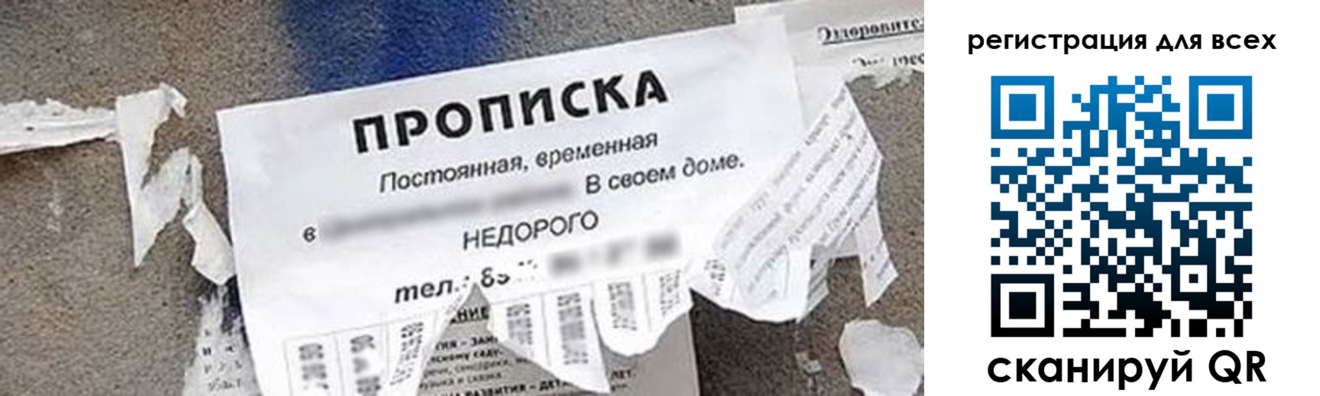прописка поиск в Отрадном